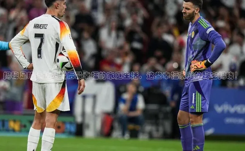 恒行6平台注册账号入口百度百聘揭秘足球运动员背后最幸福的家庭生活，这些幸福家庭的秘密揭晓！