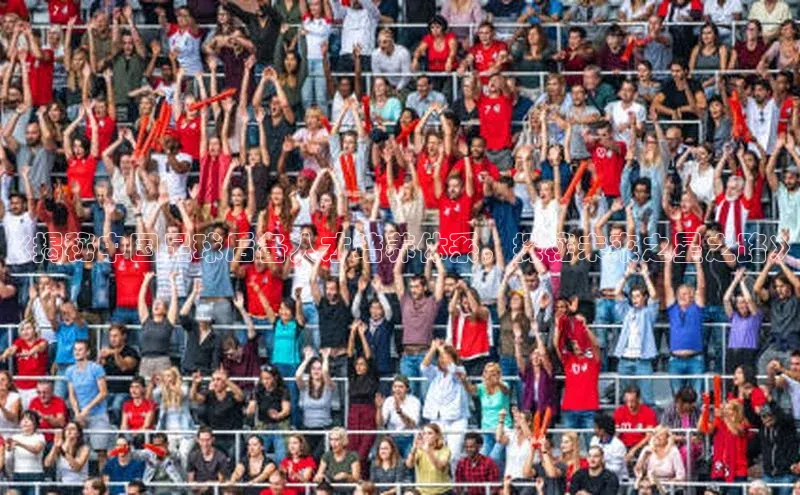 恒行6ARGA公司《揭秘中国足球后备人才培养体系，探秘未来之星之路》