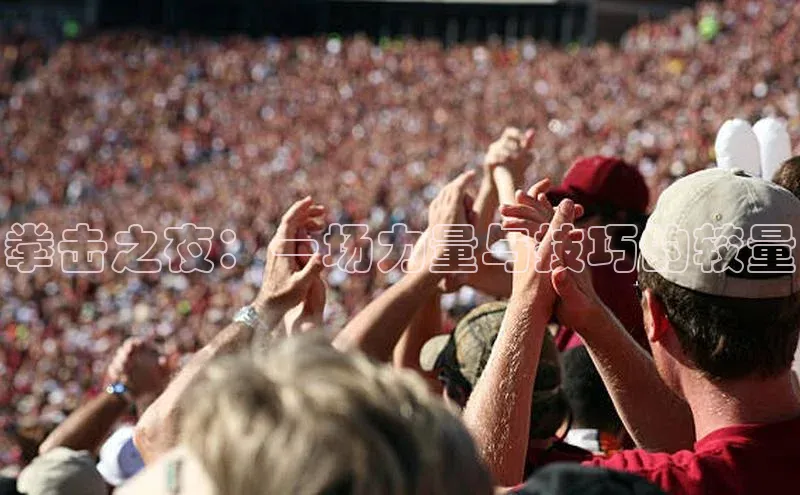 拳击之夜：一场力量与技巧的较量
