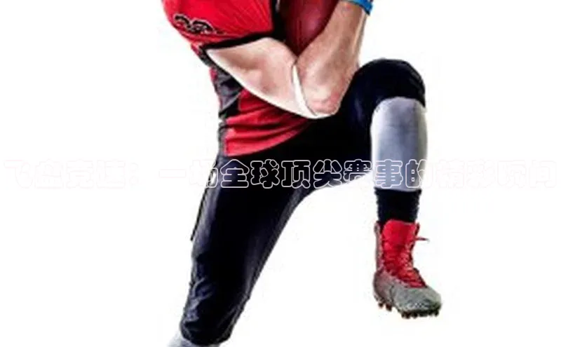 飞盘竞速：一场全球顶尖赛事的精彩瞬间