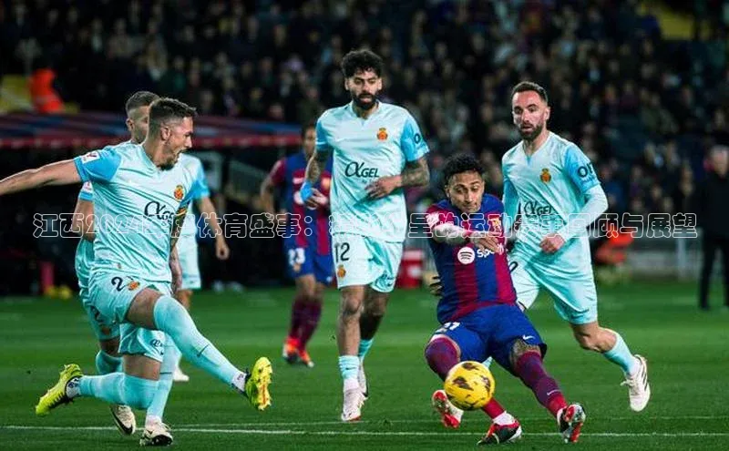 江西2024年度体育盛事：精彩纷呈的运动赛事回顾与展望