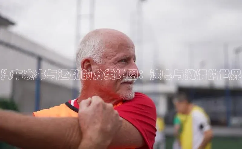 汽车赛事与运动的分类地图：速度与激情的世界