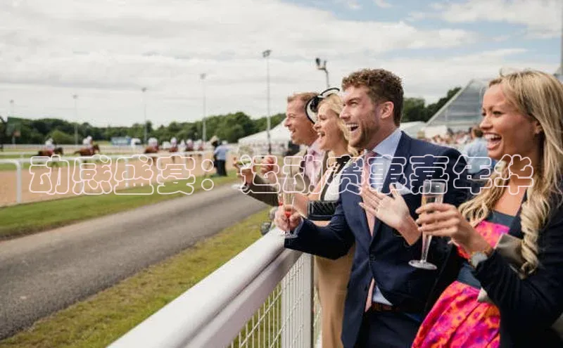 动感盛宴：运动赛事嘉年华