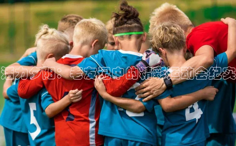 活力夕阳：老友记中的精彩运动会纪实