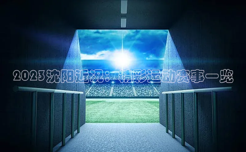 2023沈阳近况：精彩运动赛事一览