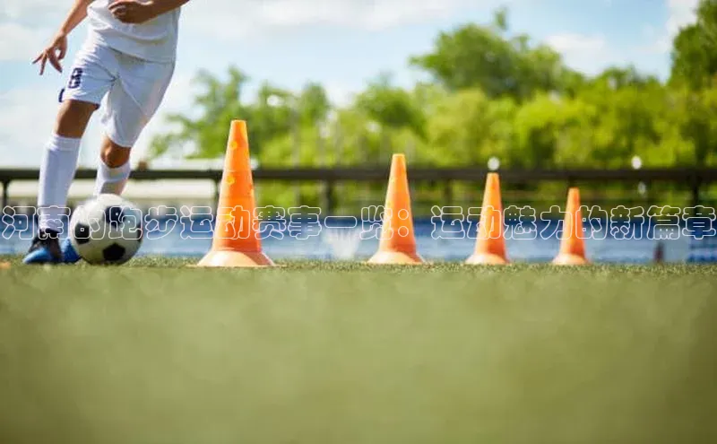 河南的跑步运动赛事一览：运动魅力的新篇章