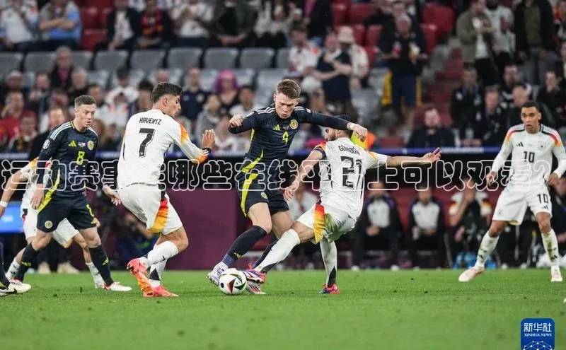 运动赛事在哪些在线平台上可以观看？