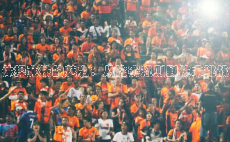 恒行6娱乐APP官网登录入口