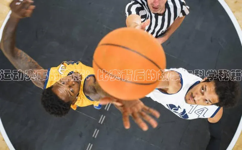 运动赛事的全解：比赛背后的故事与科学秘籍