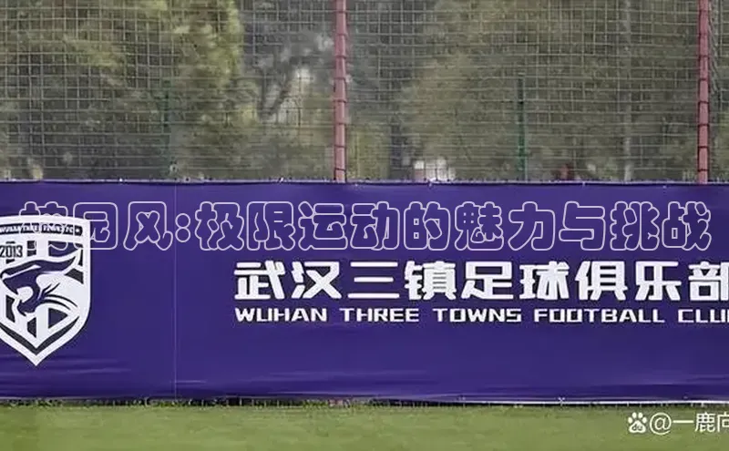 校园风:极限运动的魅力与挑战