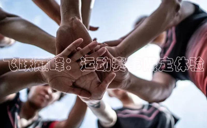 飞跃巅峰：运动赛事限定体验