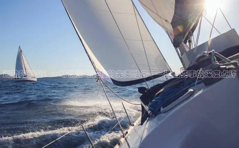 运动的盛宴：一场视觉与竞技的完美融合——运动赛事的深度点评