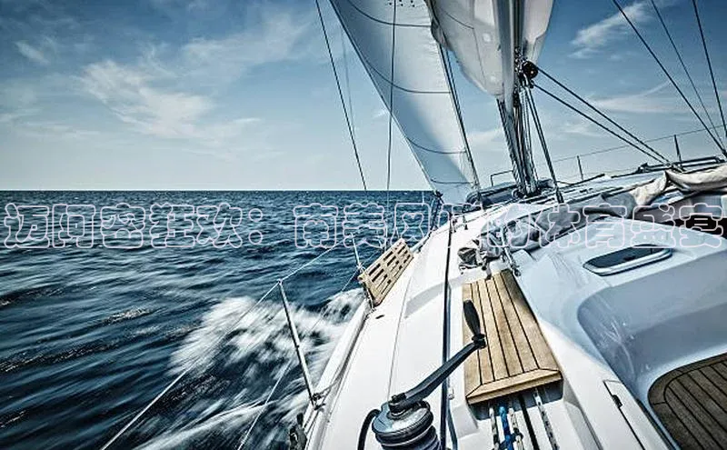 迈阿密狂欢：南美风情的体育盛宴